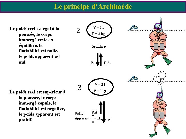 Le principe d’Archimède Le poids réel est égal à la poussée, le corps immergé Le principe d’Archimède Le poids réel est égal à la poussée, le corps immergé
