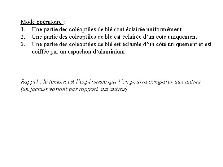 Mode opératoire : 1. Une partie des coléoptiles de blé sont éclairée uniformément 2.