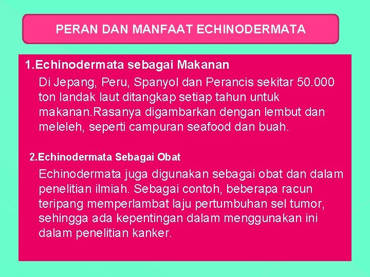 PERAN DAN MANFAAT ECHINODERMATA 1. Echinodermata sebagai Makanan Di Jepang, Peru, Spanyol dan Perancis