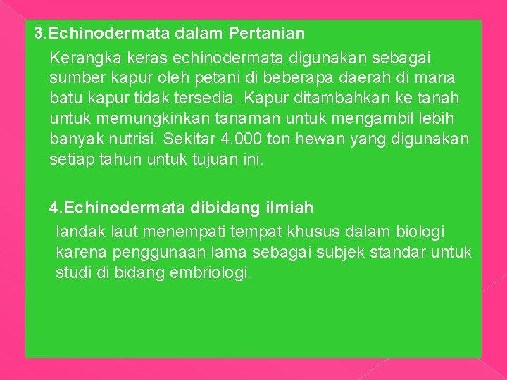 3. Echinodermata dalam Pertanian Kerangka keras echinodermata digunakan sebagai sumber kapur oleh petani di