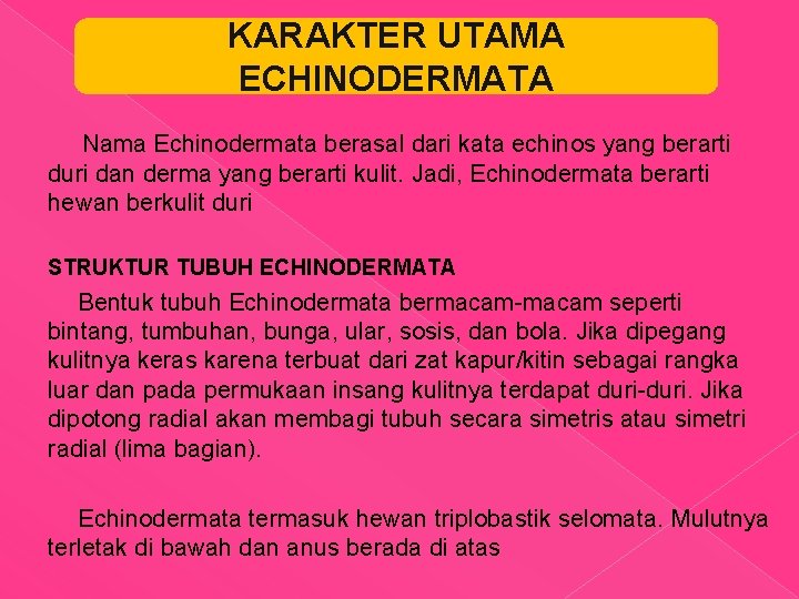 KARAKTER UTAMA ECHINODERMATA Nama Echinodermata berasal dari kata echinos yang berarti duri dan derma