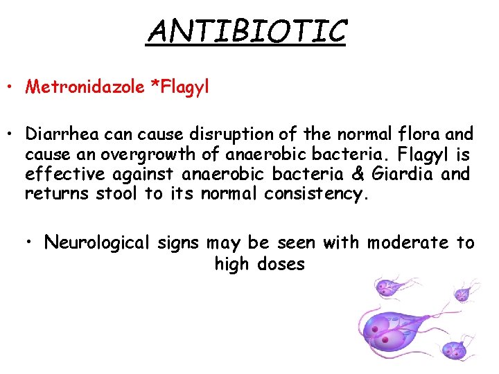 ANTIBIOTIC • Metronidazole *Flagyl • Diarrhea can cause disruption of the normal flora and