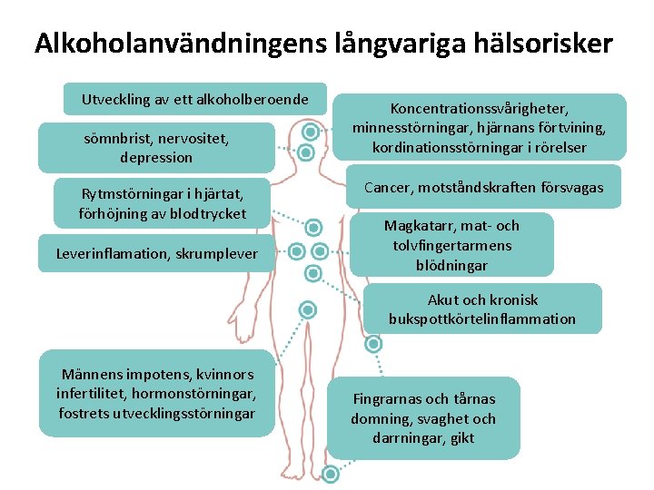 Alkoholanvändningens långvariga hälsorisker Utveckling av ett alkoholberoende sömnbrist, nervositet, depression Rytmstörningar i hjärtat, förhöjning