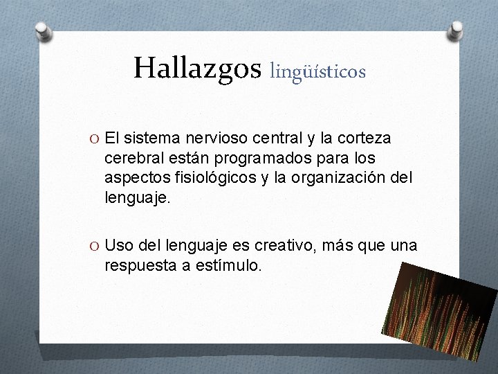 Hallazgos lingüísticos O El sistema nervioso central y la corteza cerebral están programados para