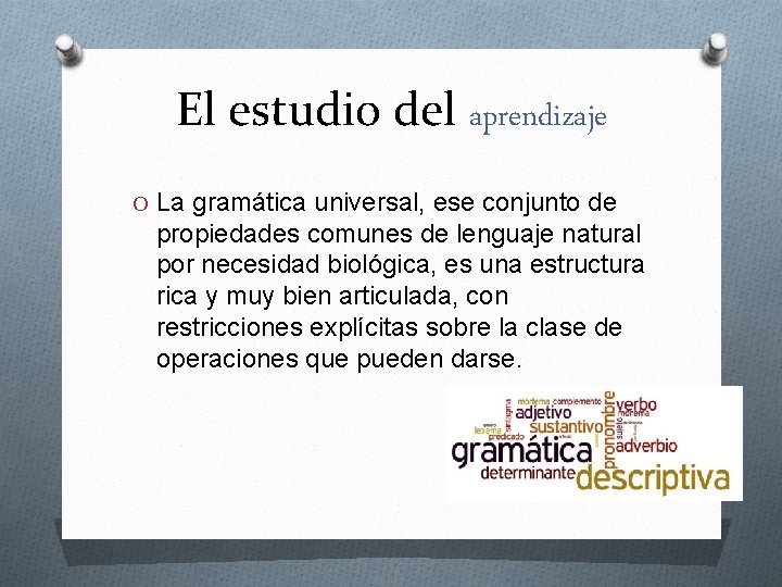 El estudio del aprendizaje O La gramática universal, ese conjunto de propiedades comunes de