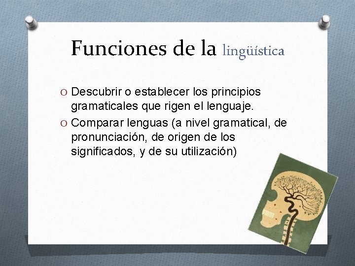 Funciones de la lingüística O Descubrir o establecer los principios gramaticales que rigen el