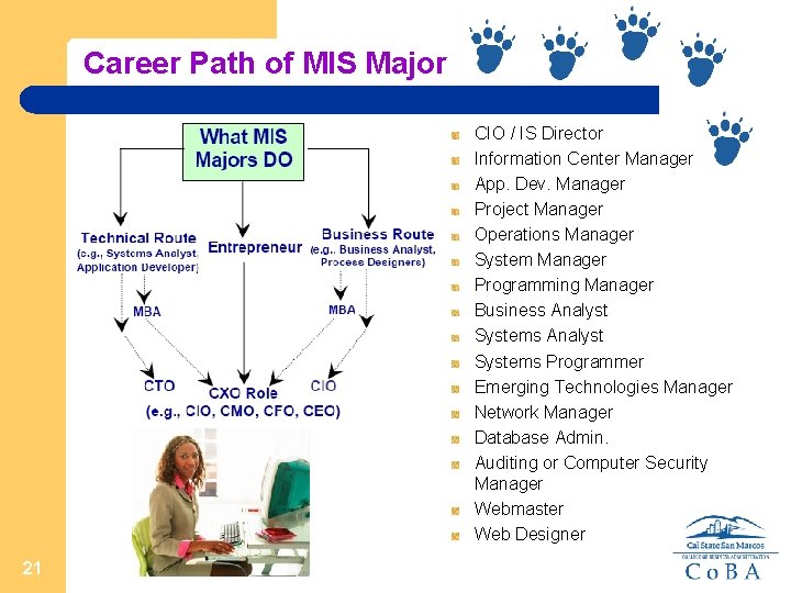 Career Path of MIS Major CIO / IS Director Information Center Manager App. Dev.