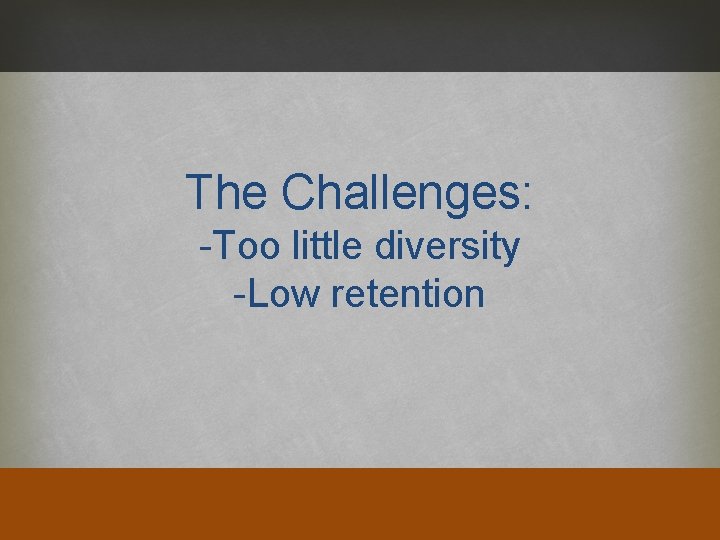 The Challenges: -Too little diversity -Low retention 