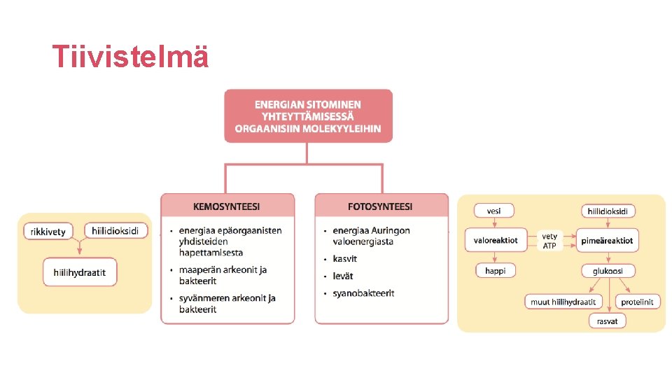 Tiivistelmä 