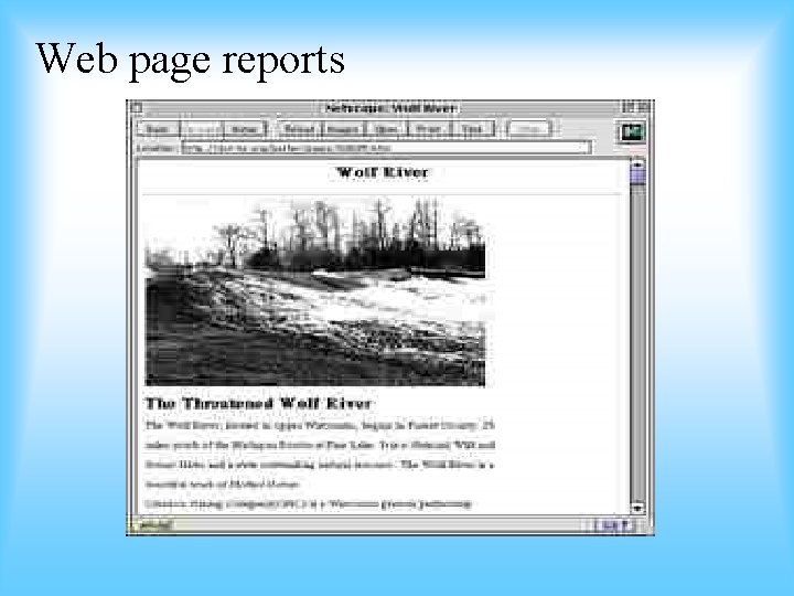Web page reports 