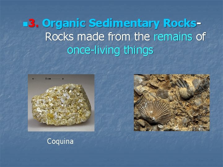 n 3. Organic Sedimentary Rocks made from the remains of once-living things Coquina 