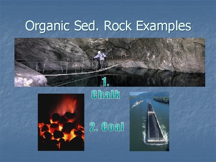 Organic Sed. Rock Examples 