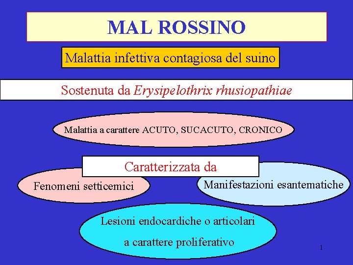 MAL ROSSINO Malattia infettiva contagiosa del suino Sostenuta da Erysipelothrix rhusiopathiae Malattia a carattere