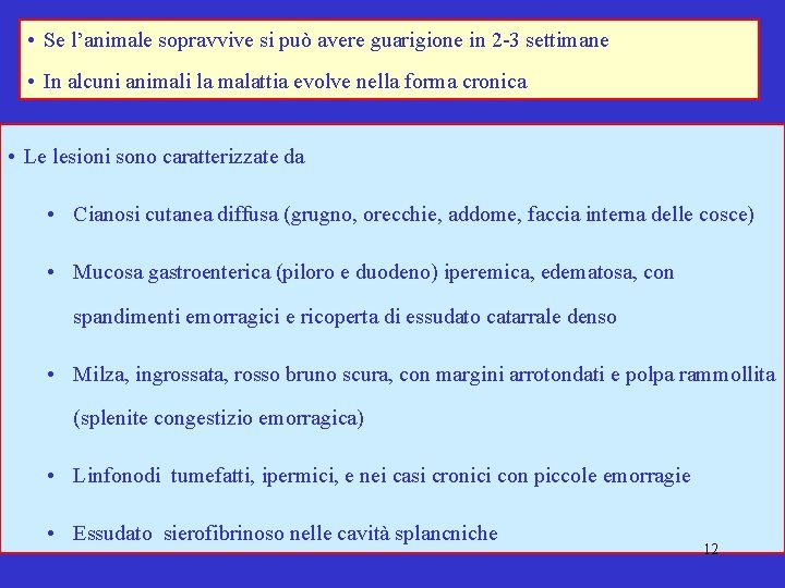  • Se l’animale sopravvive si può avere guarigione in 2 -3 settimane •