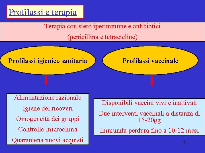 Profilassi e terapia Terapia con siero iperimmune e antibiotici (penicillina e tetracicline) Profilassi igienico