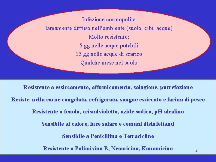 Infezione cosmopolita largamente diffuso nell’ambiente (suolo, cibi, acque) Molto resistente: 5 gg nelle acque