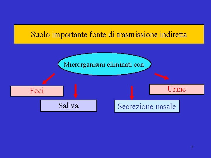 Suolo importante fonte di trasmissione indiretta Microrganismi eliminati con Urine Feci Saliva Secrezione nasale