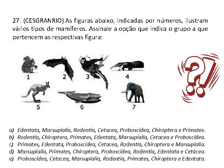 27. (CESGRANRIO) As figuras abaixo, indicadas por números, ilustram vários tipos de mamíferos. Assinale