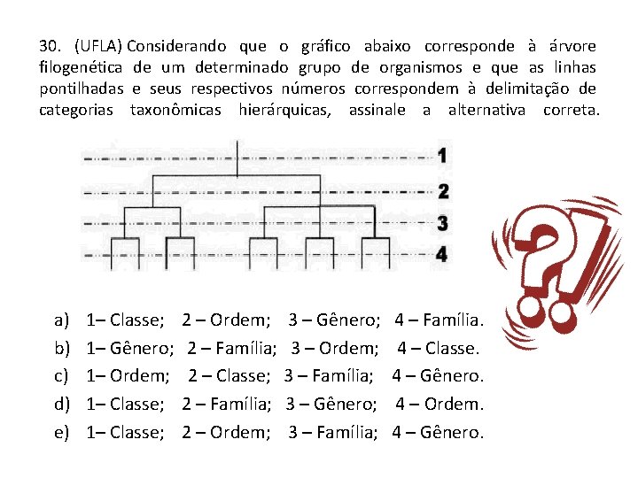 30. (UFLA) Considerando que o gráfico abaixo corresponde à árvore filogenética de um determinado