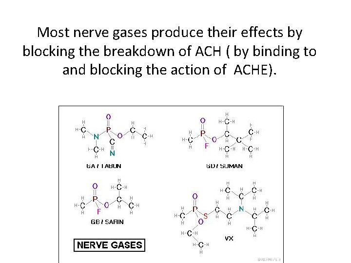 Most nerve gases produce their effects by blocking the breakdown of ACH ( by