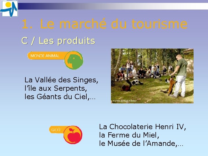1. Le marché du tourisme C / Les produits La Vallée des Singes, l’île 1. Le marché du tourisme C / Les produits La Vallée des Singes, l’île