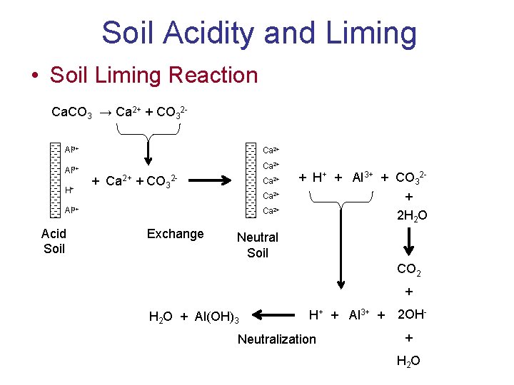 Soil Acidity and Liming • Soil Liming Reaction Ca. CO 3 → Ca 2+