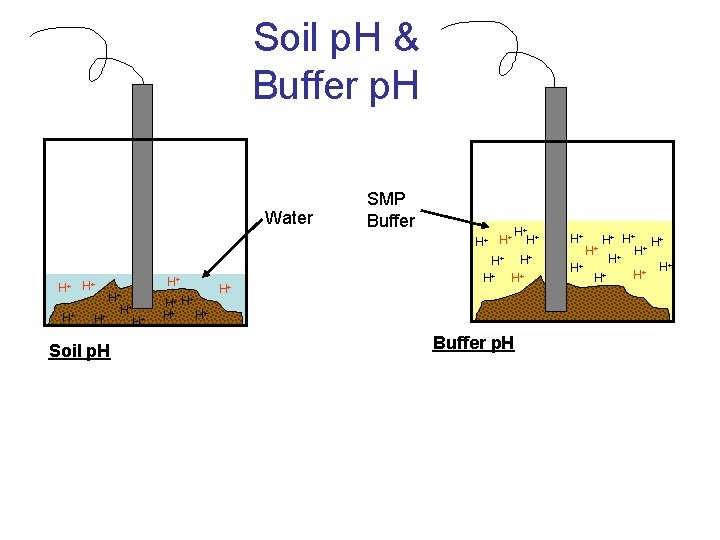 Soil p. H & Buffer p. H Water SMP Buffer H+ + H+ H+