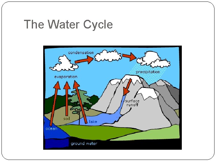 The Water Cycle 