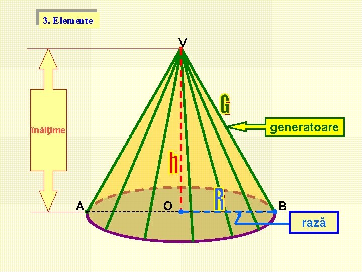 2. Elemente 3. V generatoare înălţime A O B rază 