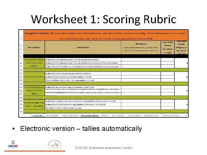 Worksheet 1: Scoring Rubric • Electronic version – tallies automatically ECCN SLE Qualitative Assessment