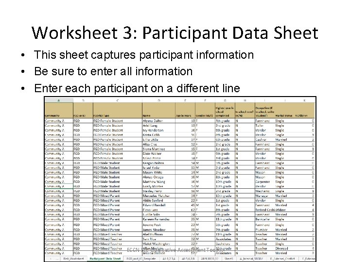 Worksheet 3: Participant Data Sheet • This sheet captures participant information • Be sure
