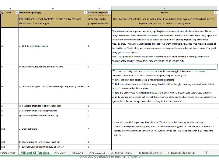 ECCN SLE Qualitative Assessment Toolkit 