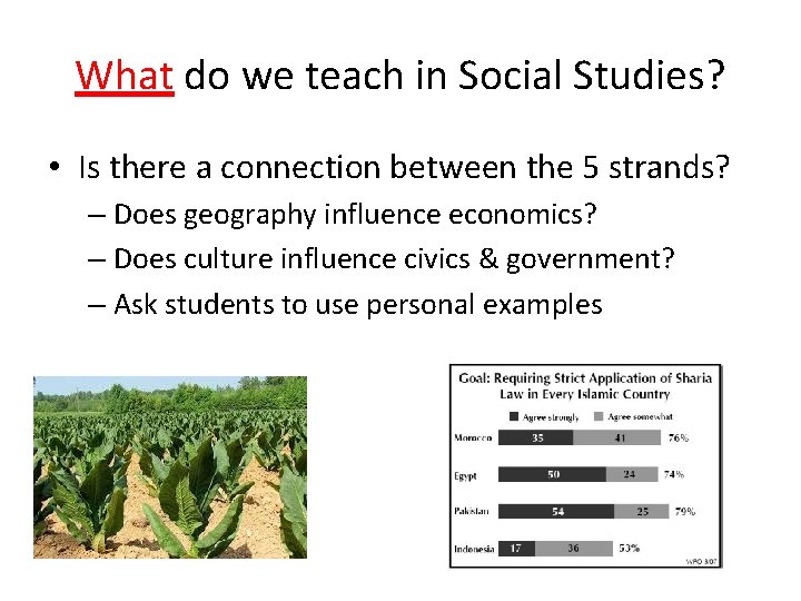 What do we teach in Social Studies? • Is there a connection between the