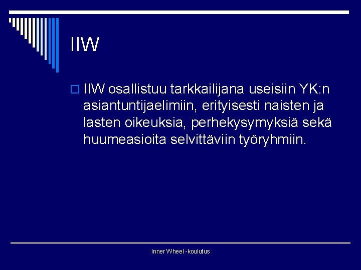 IIW osallistuu tarkkailijana useisiin YK: n asiantuntijaelimiin, erityisesti naisten ja lasten oikeuksia, perhekysymyksiä sekä