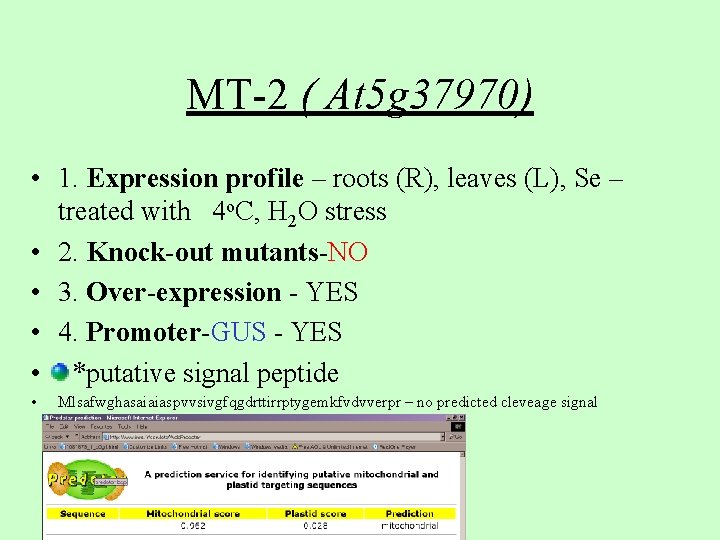 MT-2 ( At 5 g 37970) • 1. Expression profile – roots (R), leaves