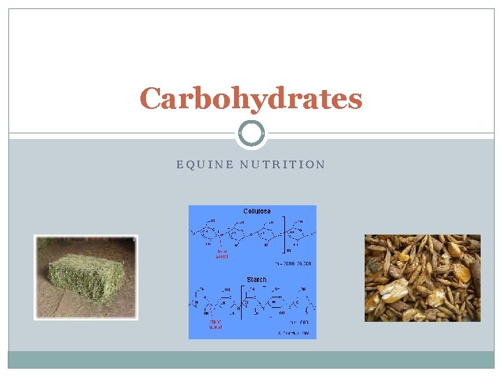 Carbohydrates EQUINE NUTRITION 