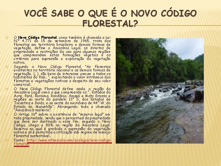 VOCÊ SABE O QUE É O NOVO CÓDIGO FLORESTAL? � � � O Novo