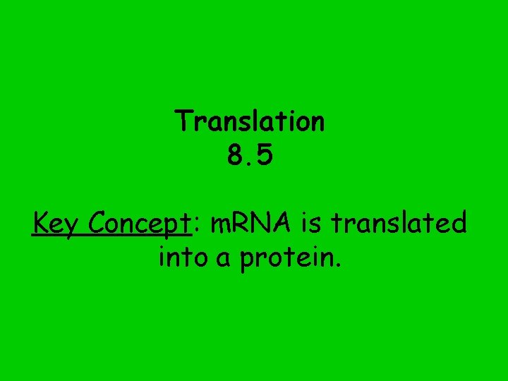 Translation 8. 5 Key Concept: m. RNA is translated into a protein. 