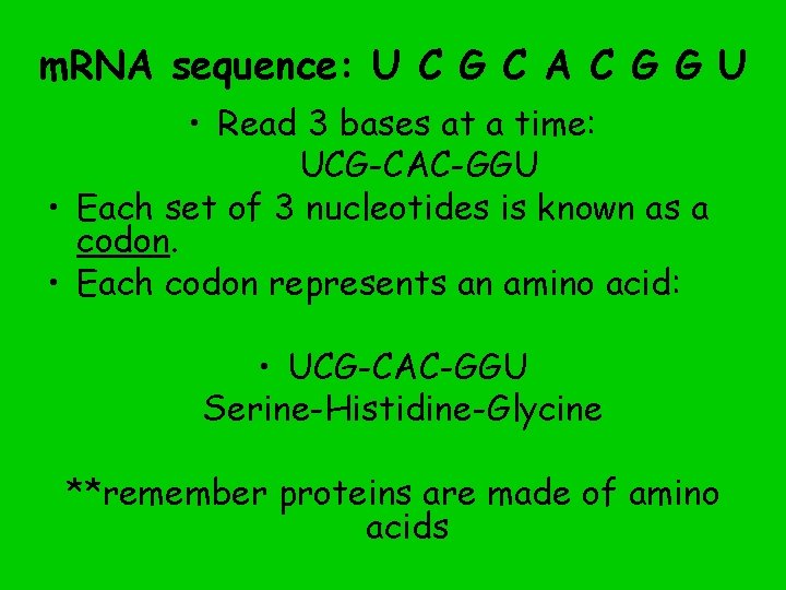 m. RNA sequence: U C G C A C G G U • Read