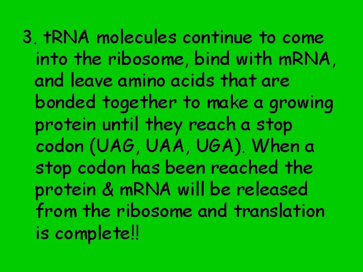 3. t. RNA molecules continue to come into the ribosome, bind with m. RNA,