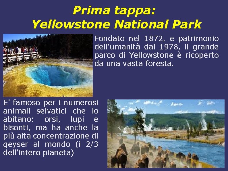 Prima tappa: Yellowstone National Park Fondato nel 1872, e patrimonio dell'umanità dal 1978, il