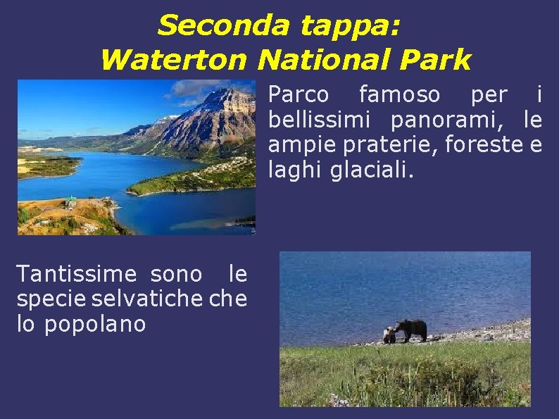 Seconda tappa: Waterton National Park Parco famoso per i bellissimi panorami, le ampie praterie,