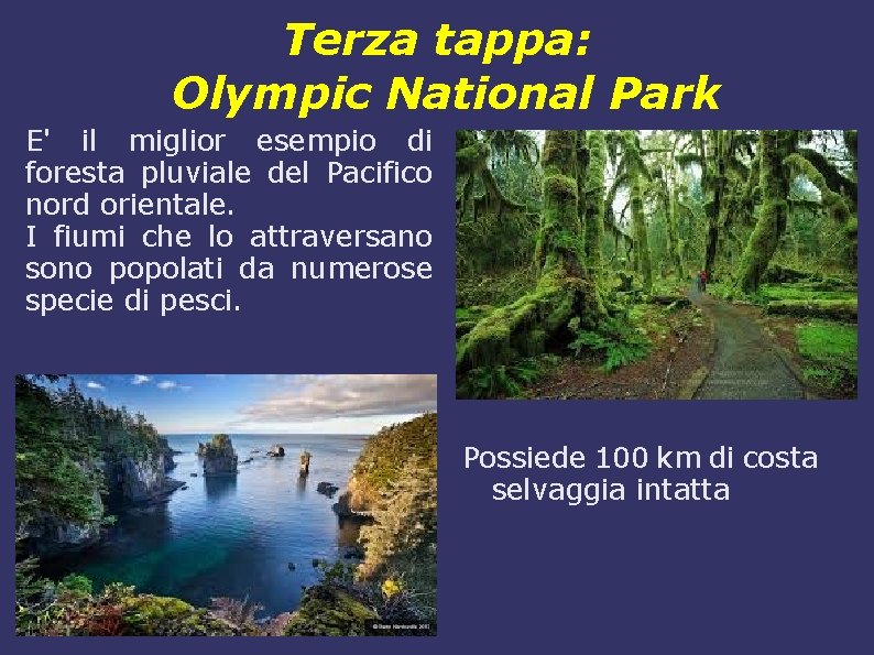 Terza tappa: Olympic National Park E' il miglior esempio di foresta pluviale del Pacifico
