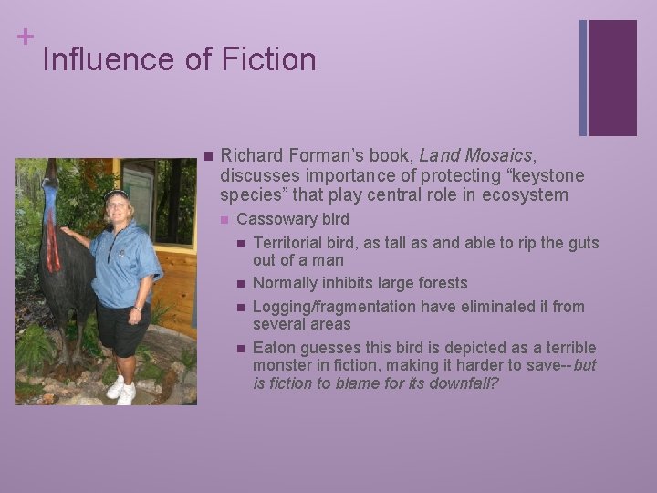 + Influence of Fiction n Richard Forman’s book, Land Mosaics, discusses importance of protecting