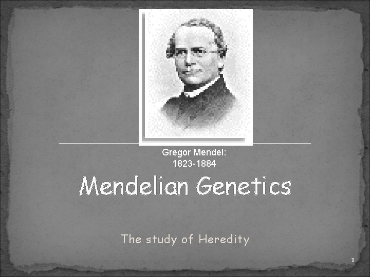 Gregor Mendel: 1823 -1884 Mendelian Genetics The study of Heredity 1 