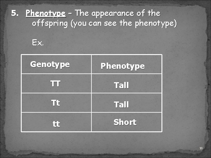 5. Phenotype – The appearance of the offspring (you can see the phenotype) Ex.