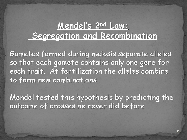 Mendel’s 2 nd Law: Segregation and Recombination Gametes formed during meiosis separate alleles so