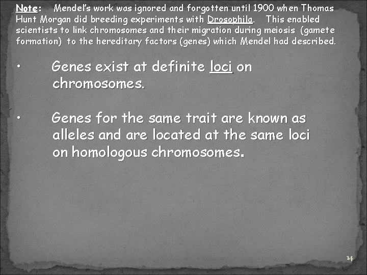 Note: Mendel’s work was ignored and forgotten until 1900 when Thomas Hunt Morgan did