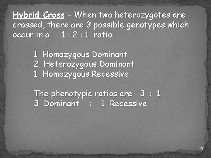 Hybrid Cross – When two heterozygotes are crossed, there are 3 possible genotypes which