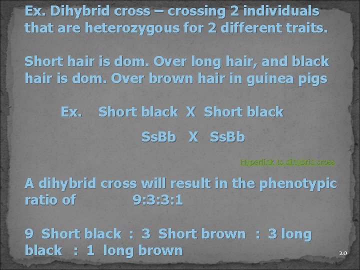 Ex. Dihybrid cross – crossing 2 individuals that are heterozygous for 2 different traits.
